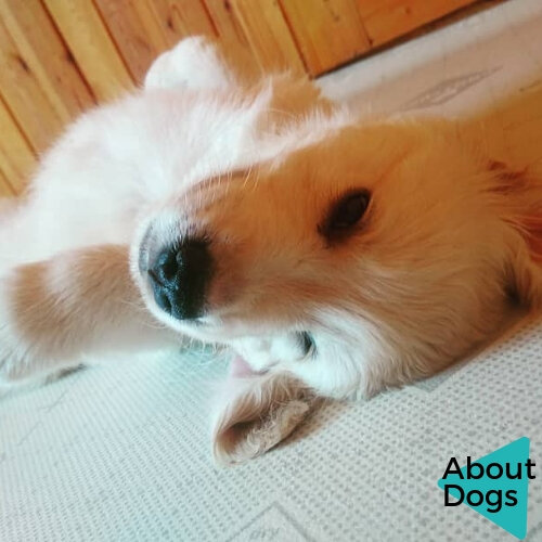 Ночное освещение