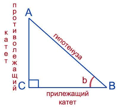 Тригонометрические отношения в прямоугольных треугольниках