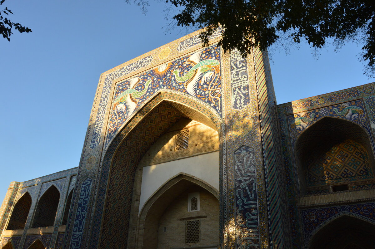 Медресе в Бухаре. Фото автора