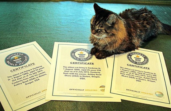 Фото: http://www.guinness-records.ru