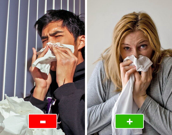 © Joey Yee / Flickr   © FreeImages   
