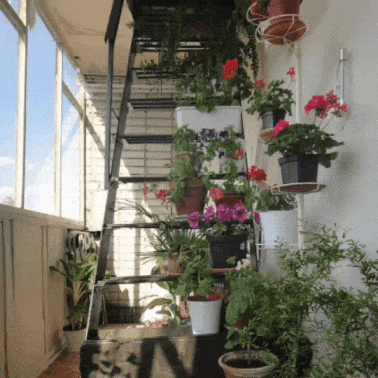 Такое оформление балкона является нарушением - захламление путей эвакуации