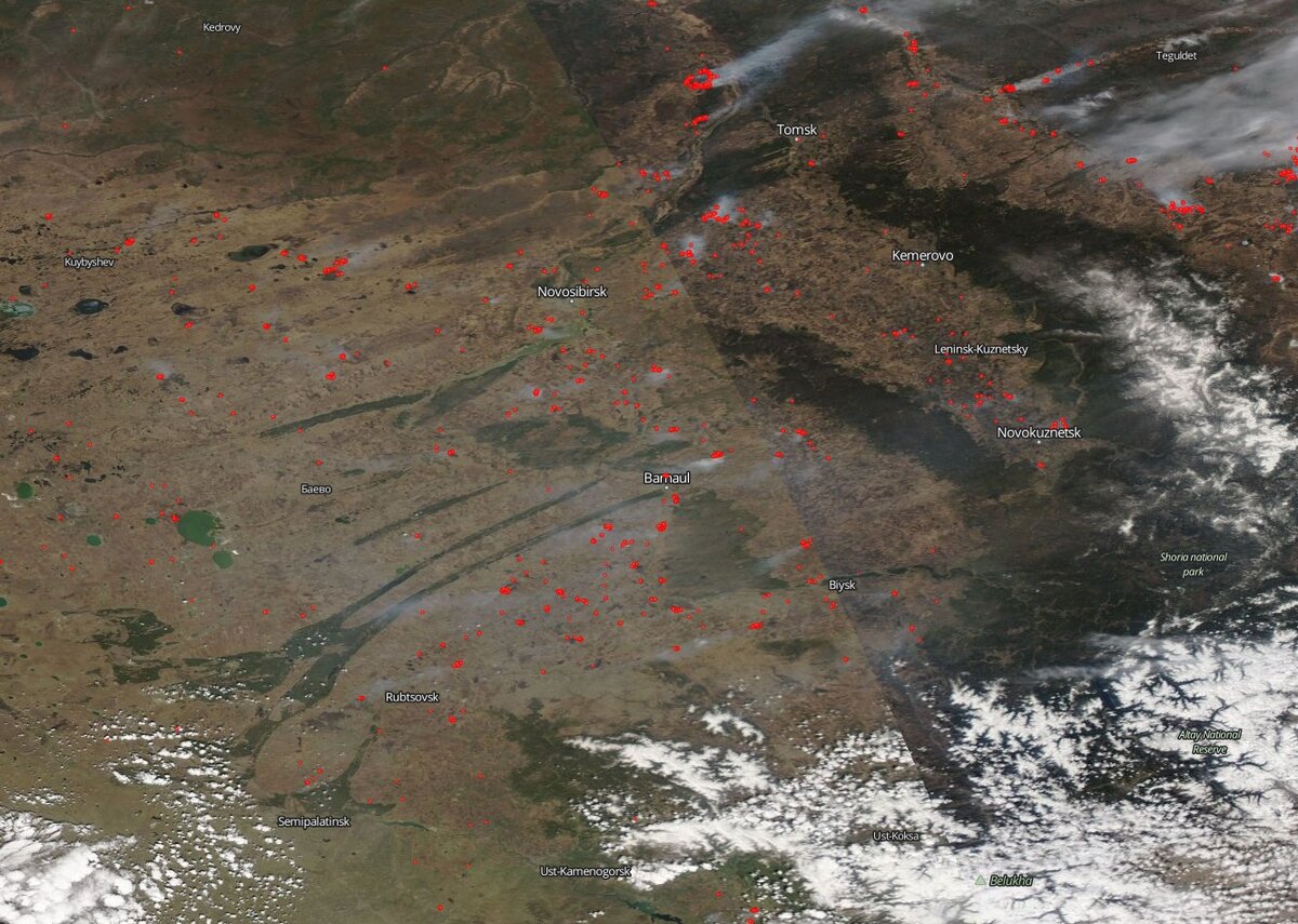Пожары в Алтайском крае по состоянию на 7 мая. Снимки из космоса