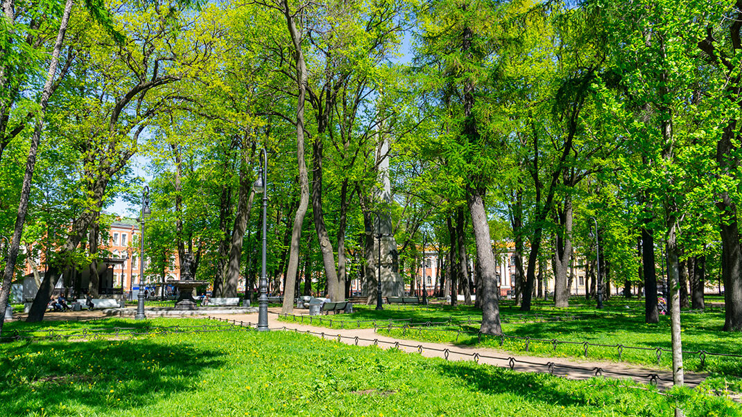 Румянцевский сад фото