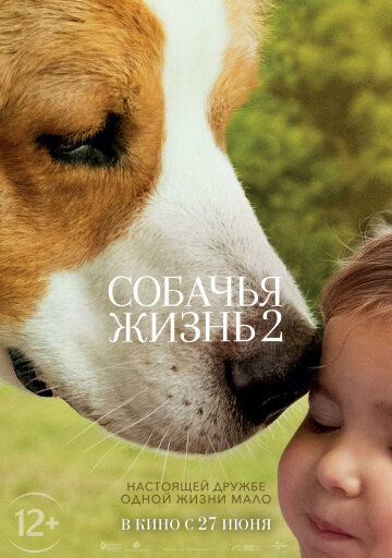                                              kinopoisk.ru.