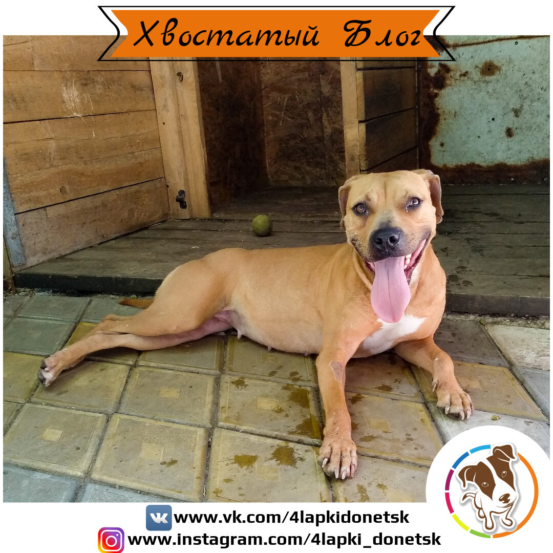 Столько счастья...