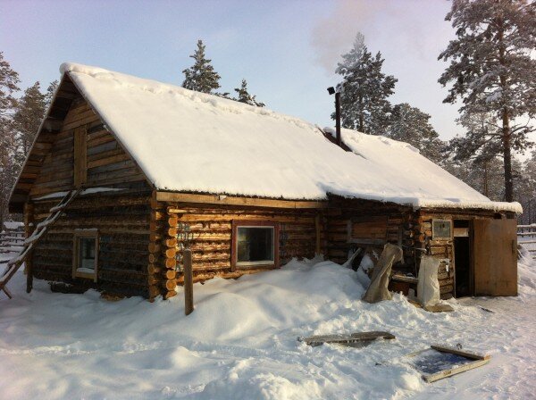 Фото из Яндекс-картинок