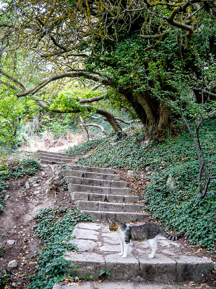 Охотница. Мыс Фиолент. Лестница 800 ступеней.