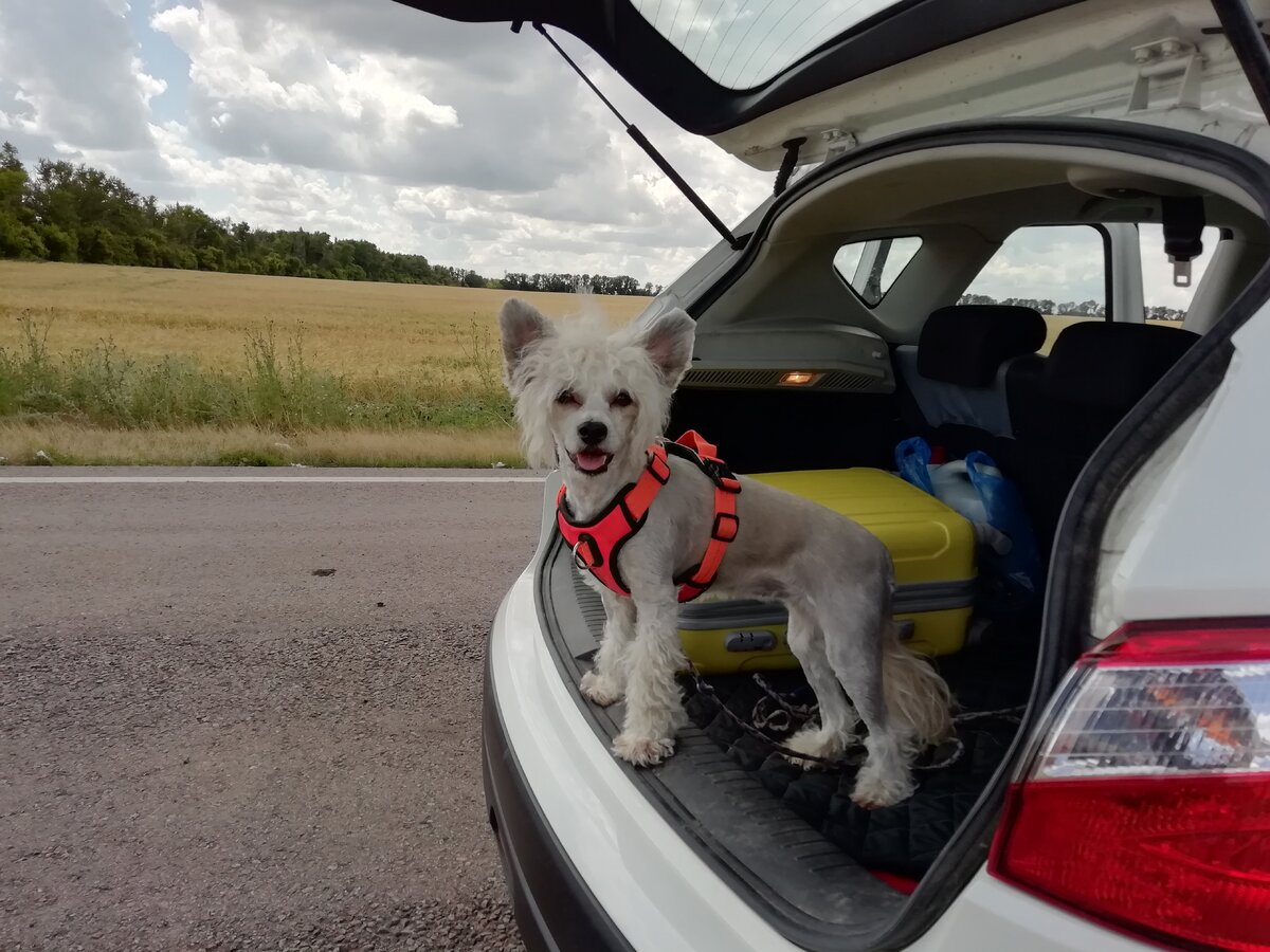 Ну когда уже поедем? 