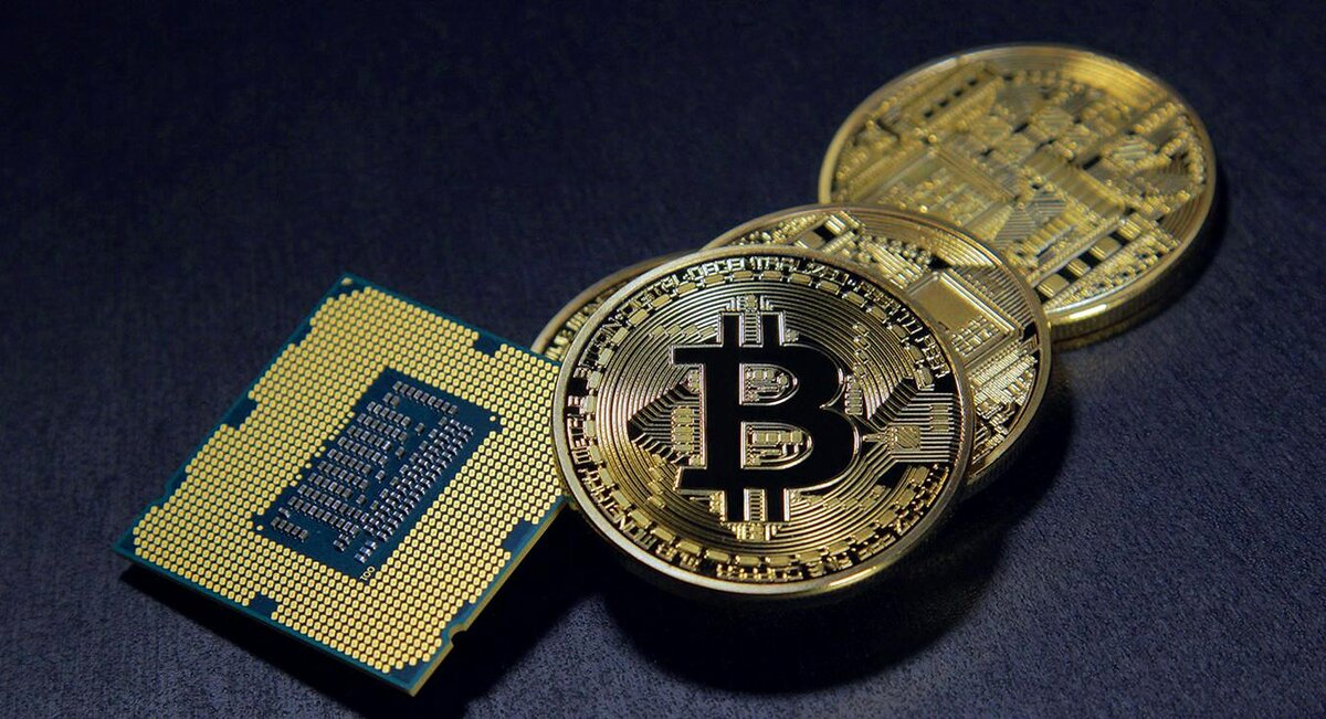 ФОТО С САЙТА PIXABAY.COM