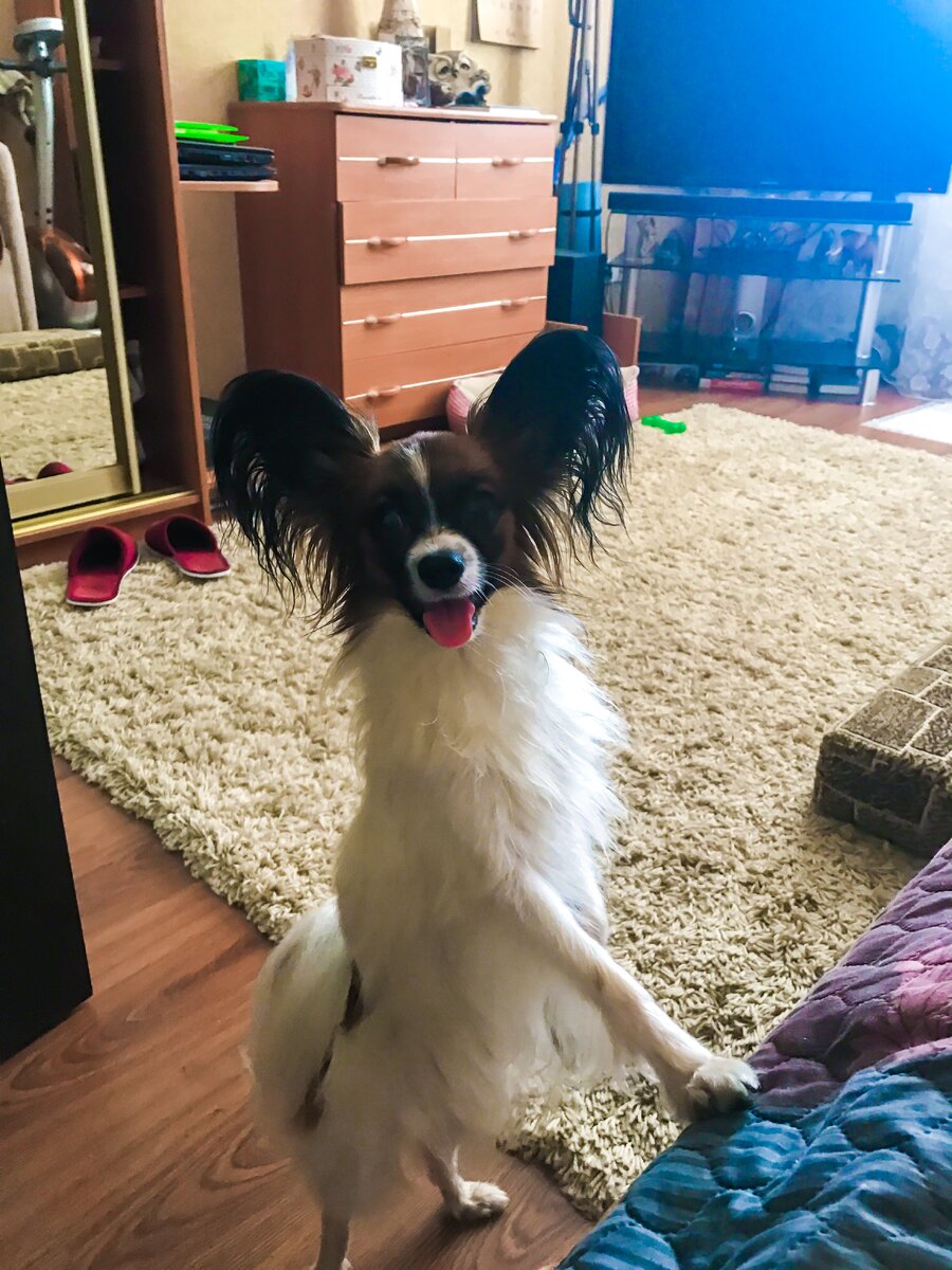 Вот с такой довольной мордой Джонни меня ведет в гараж 