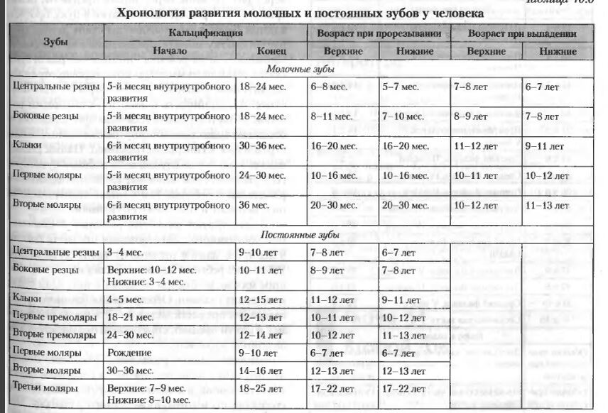 Таблица молочных зубов у детей сроки