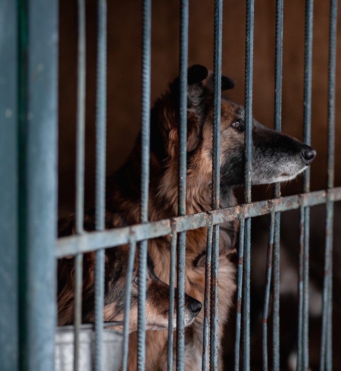 Фрида ждёт и надеется