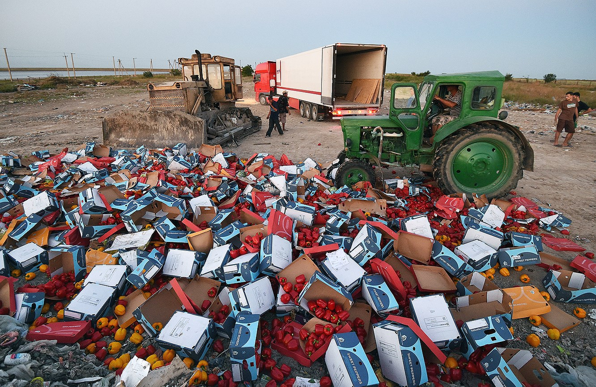 Фото из интернета