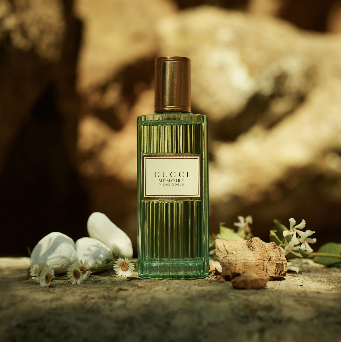 Gucci Mémoire D'une Odeur