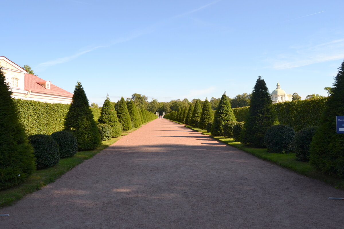 Аллея Нижнего сада