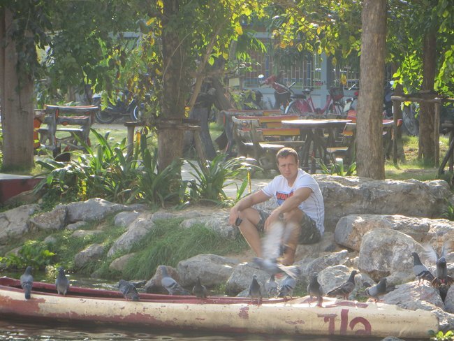 Сижу у озера в окружения голубей. Таиланд, Самуи
