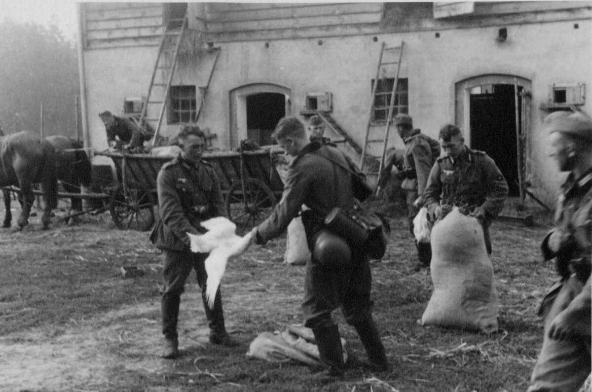 Изображение с Яндекс-картинки