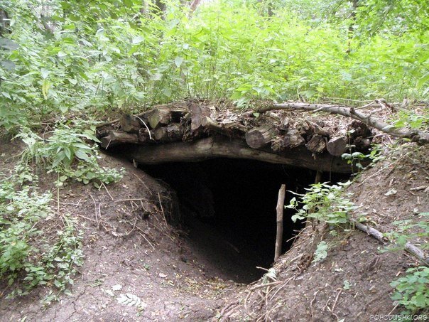 Взято с открытых источников