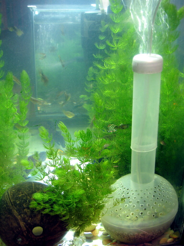 Самодельный фильтр в аквариум литров | Пикабу