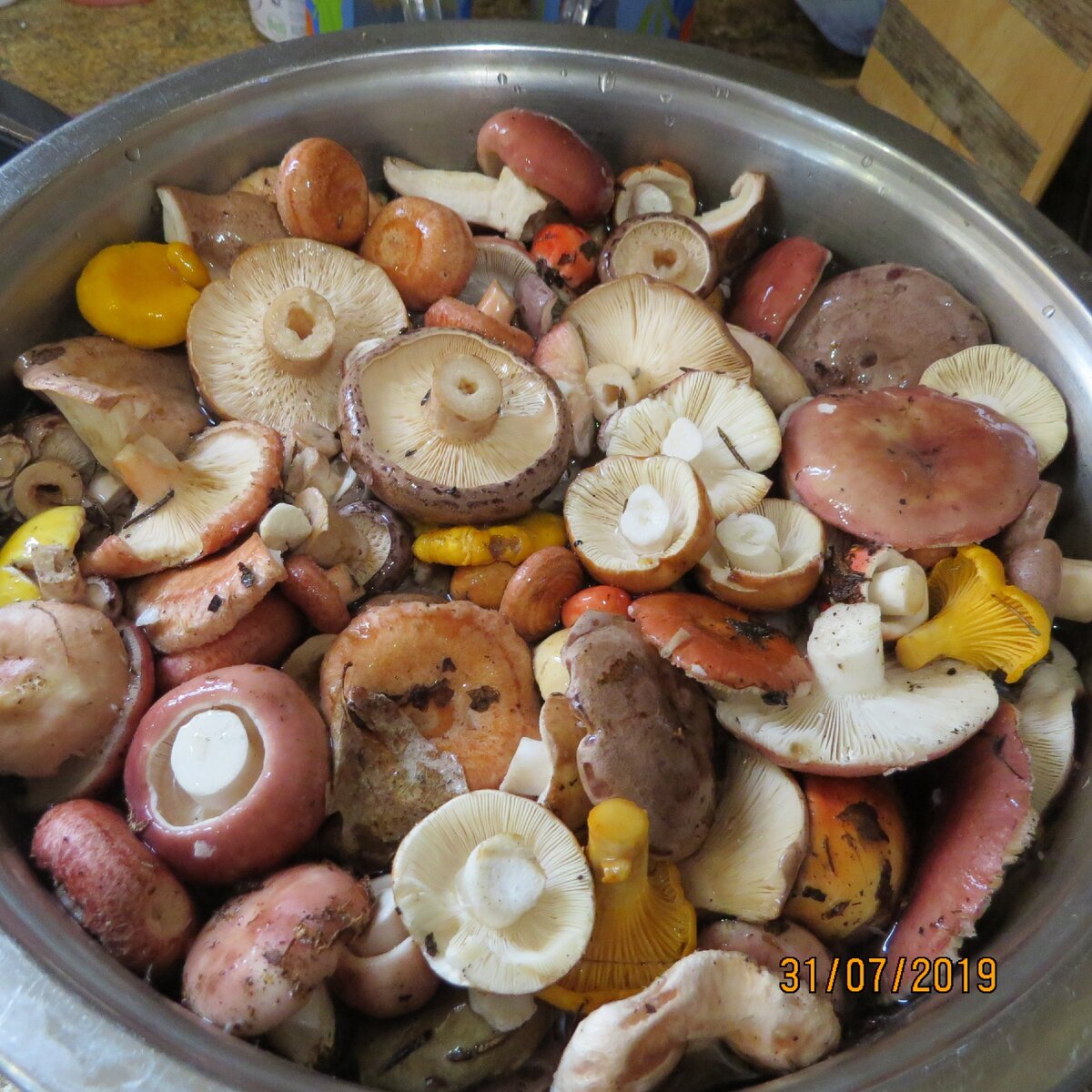 Грибное ассорти для засолки, маленькие волнушата будут кстати в нем. Фото автора.