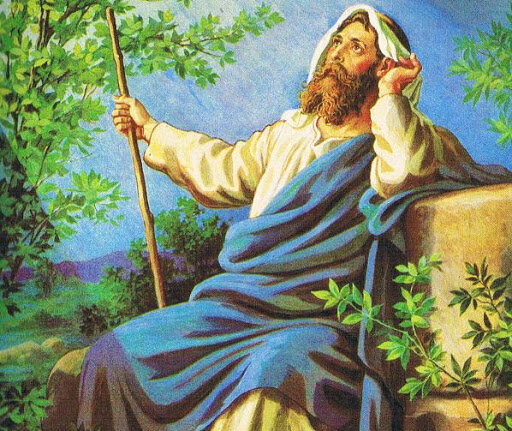 Яндекс.картинки