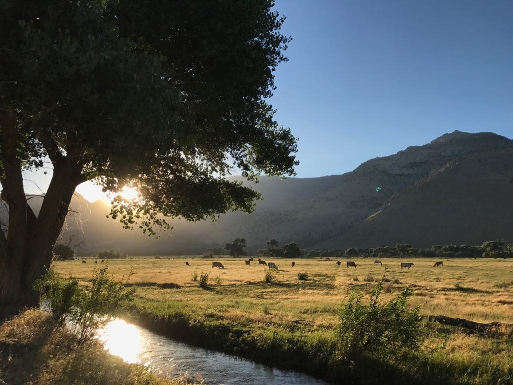 Где-то в Калифорнии...