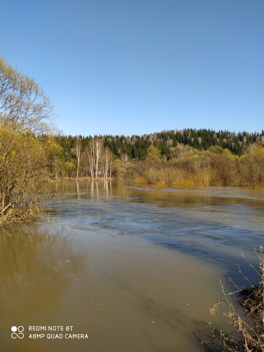 Пока сидела , вспоминала  нашу дачу.