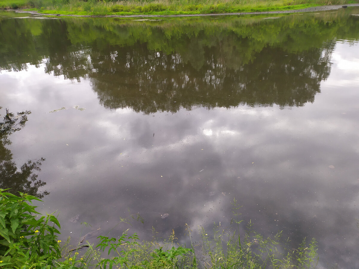 Граница обратки и свала проходит чуть дальше, где заканчивается отражение крон деревьев.