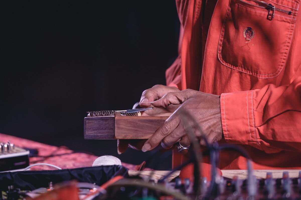 Laraaji | Fields:Open Borders | R_sound | Moscow @gorkypark 2018