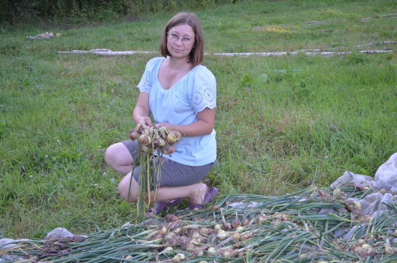 Убрала урожай лука.