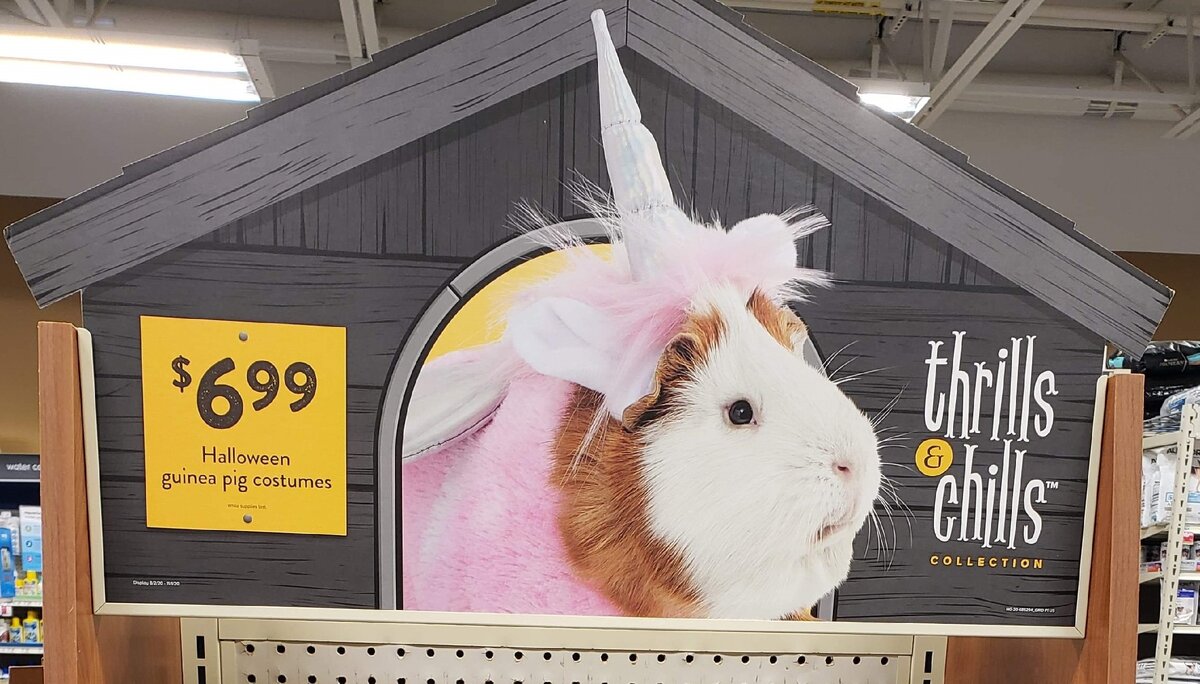 Так выглядит витрина коллекции Thrills and chills-2020 для морских свинок (в переводе примерно как "Острые ощущения и озноб"). Фото автора