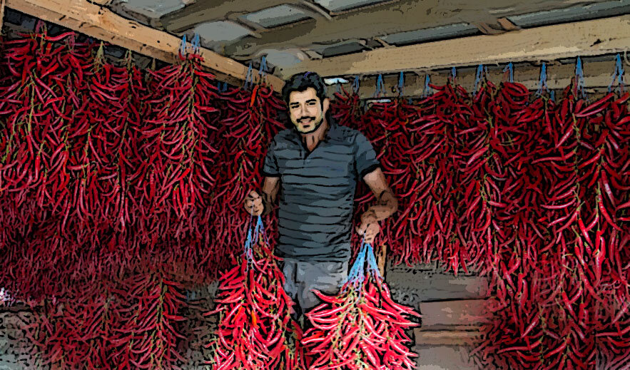 Жизнь Перца в деревне Чукурорен. Иллюстрация