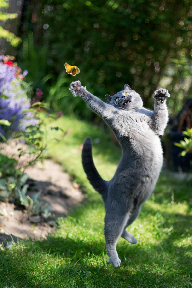 Такие кадры - тяжело поймать