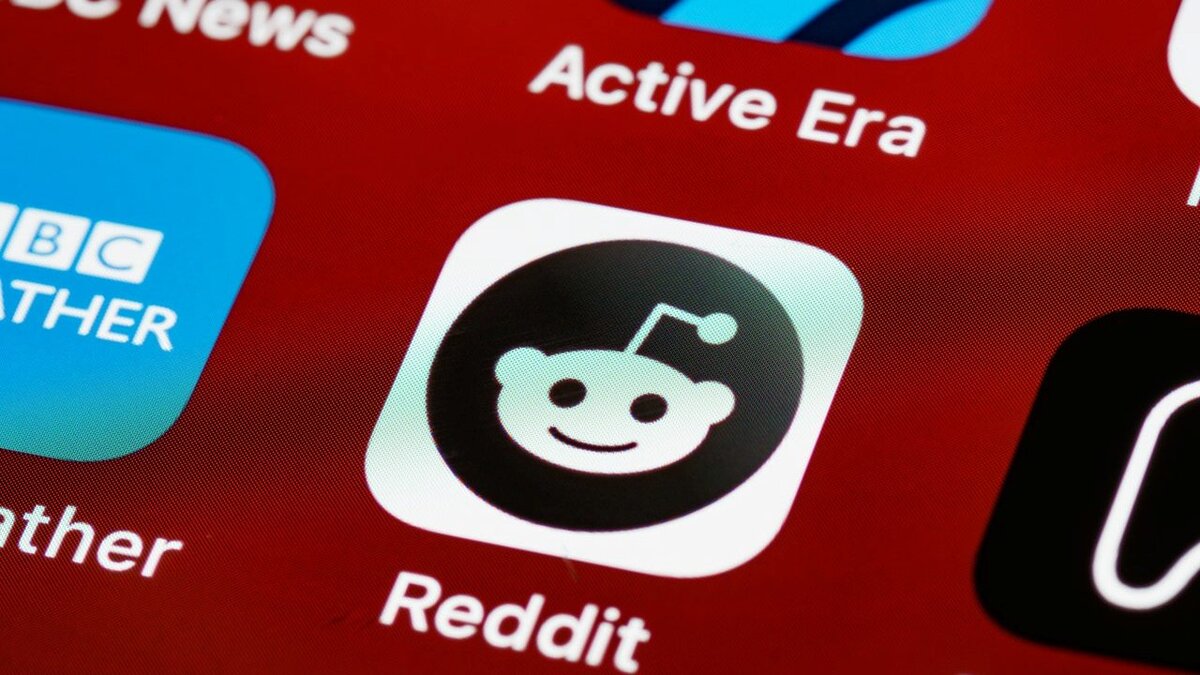 Взято на https://www.pexels.com/ru-ru/