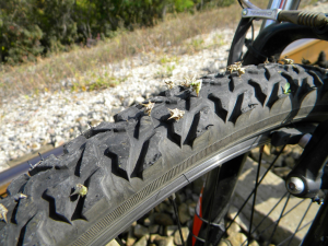 Существует множество причин, по которым может начать спускать покрышка на велобайке. К наиболее распространенным специалисты относят: