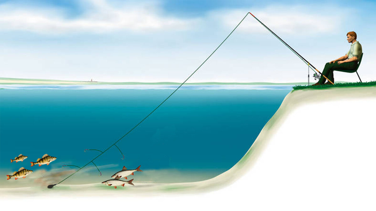 Монтаж фидера на щуку. Ловля судака на фидер оснастка. Фидер на хищника. Судак на фидер на живца. Хищник на фидер оснастка.