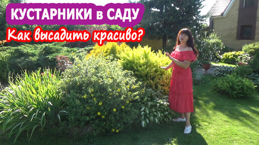 Садовые композиции из КУСТАРНИКОВ и ЦВЕТОВ. Проверенные сочетания! СХЕМА ПОСАДКИ!