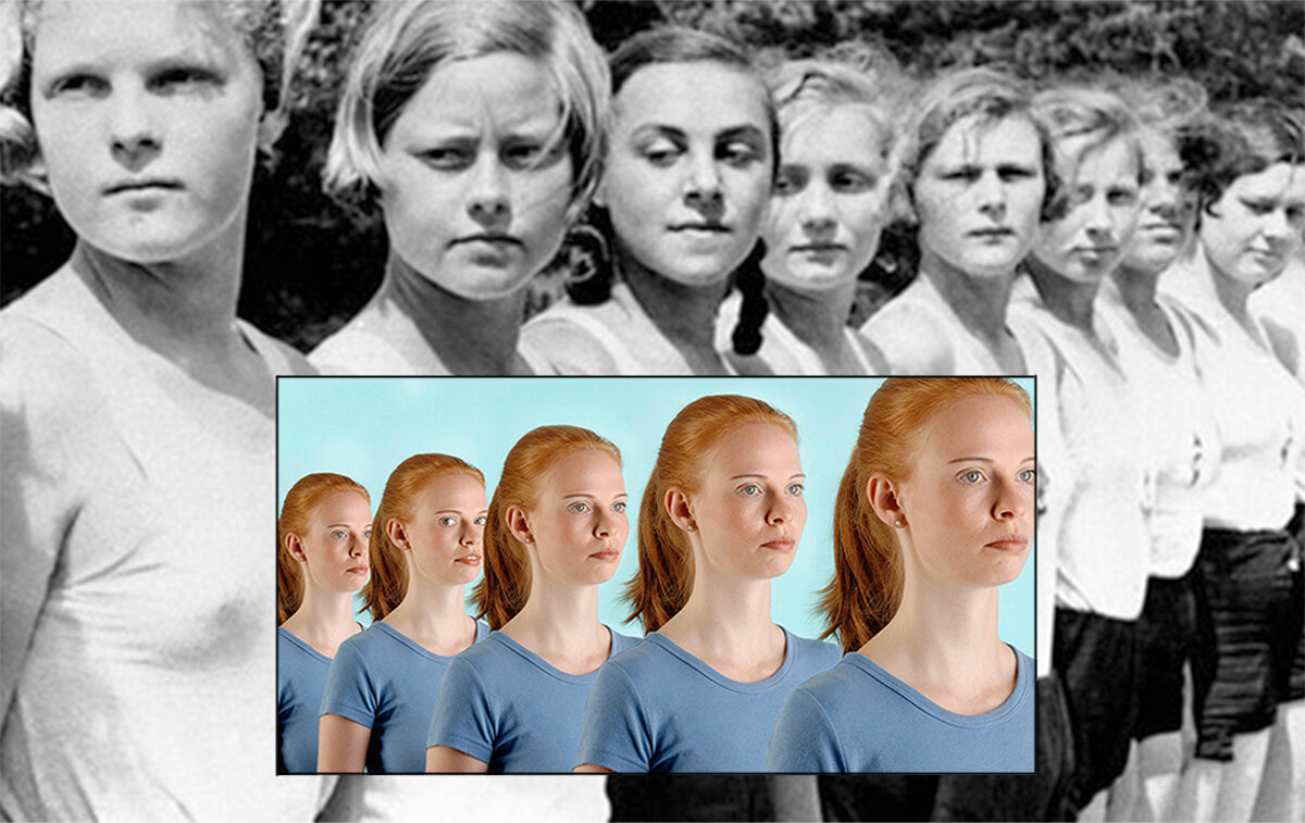 Коллаж автора. 