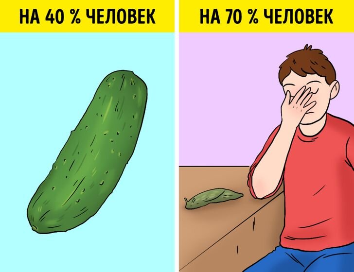 У человека и слизня гораздо больше общего, чем кажется на первый взгляд. Наша ДНК на 70 % идентична с ДНК слизняков. Давным-давно у всех животных был один общий предок, кстати, как и у растений: ДНК человека и банана совпадают на 50 %. Так что человек — это наполовину банан или на 40 % огурец. Все живые существа на Земле немножко родственники, просто в какой-то момент наше развитие пошло по другому пути.