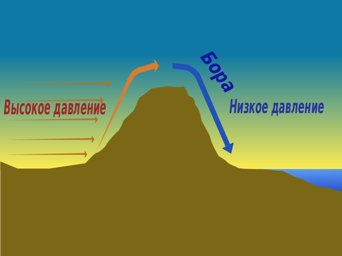 Ветер. География 5-6 класс. | География без репетитора | Дзен