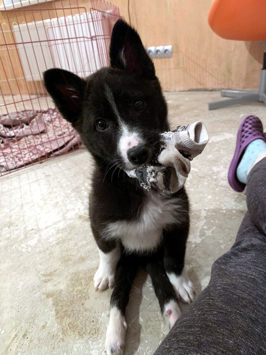 Сати в детстве