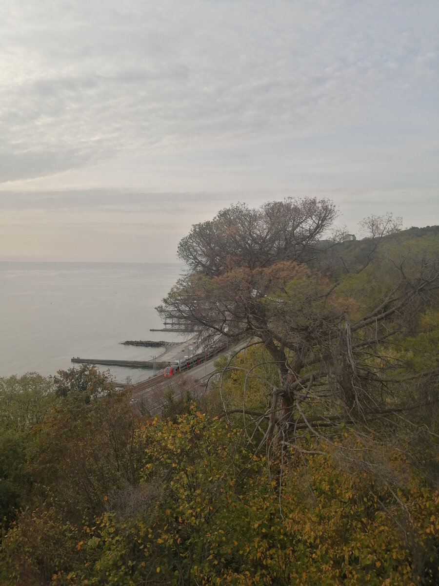 Вид с террасы дачи Квитко в сторону моря.