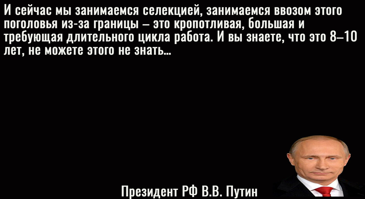 цитата Путина