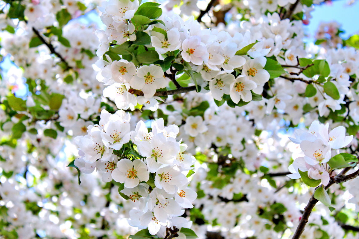 Источник фото: http://fotokto.ru/photo/view/1359994.html