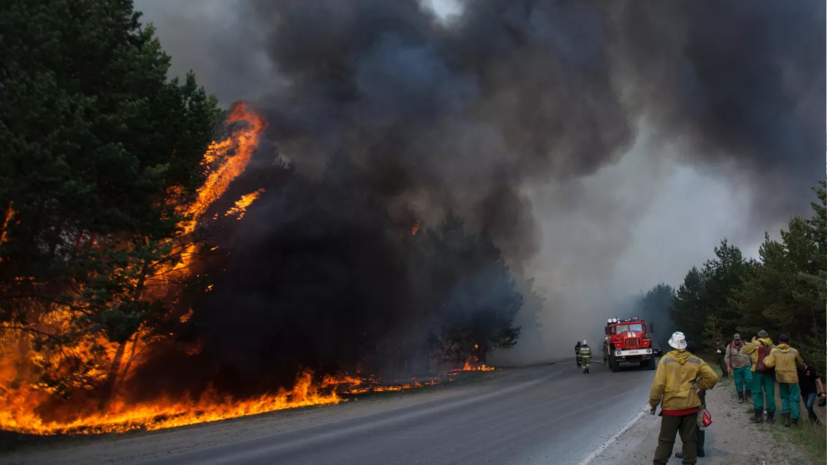   РИА Новости