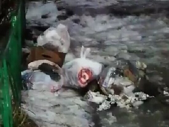     фото: Кадр из видео паблика "Тула Жесть" ВКонтакте