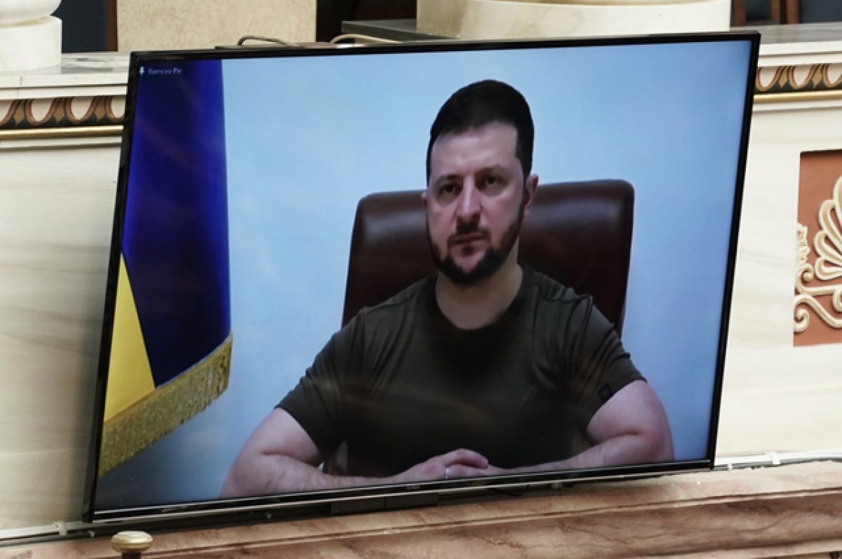    Московия, обмен енота, «Око Бандеры». Странные петиции с сайта Зеленского