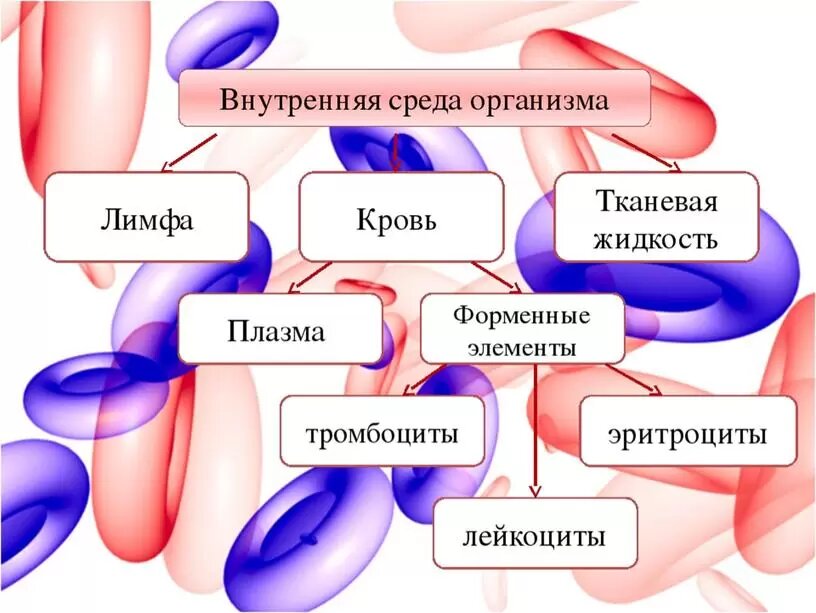 Что такое внутренняя карта