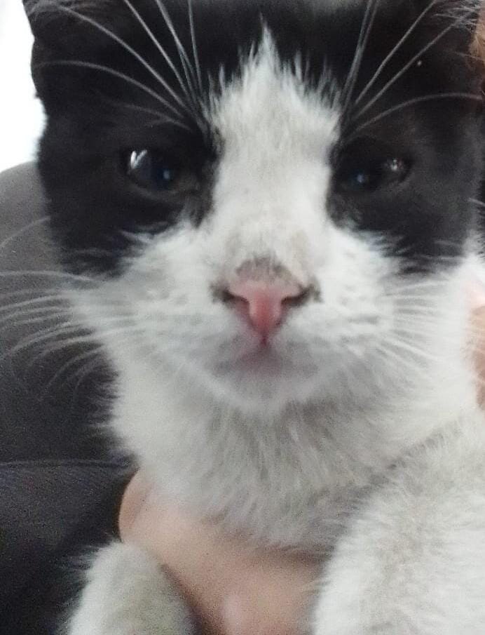 Знакомьтесь - Мэри!)